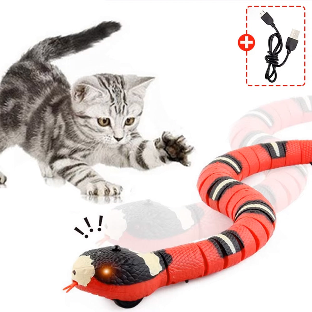 Elektrisches Schlangenspielzeug – Spannender Spaß für Haustiere 🐍 - Fluffy Adventures Haustiershop Default Title Mein Shop Haustierspielzeug Elektrisches Schlangenspielzeug – Spannender Spaß für Haustiere 🐍 Haustierspielzeug Mein Shop Default Title Fluffy Adventures Haustiershop