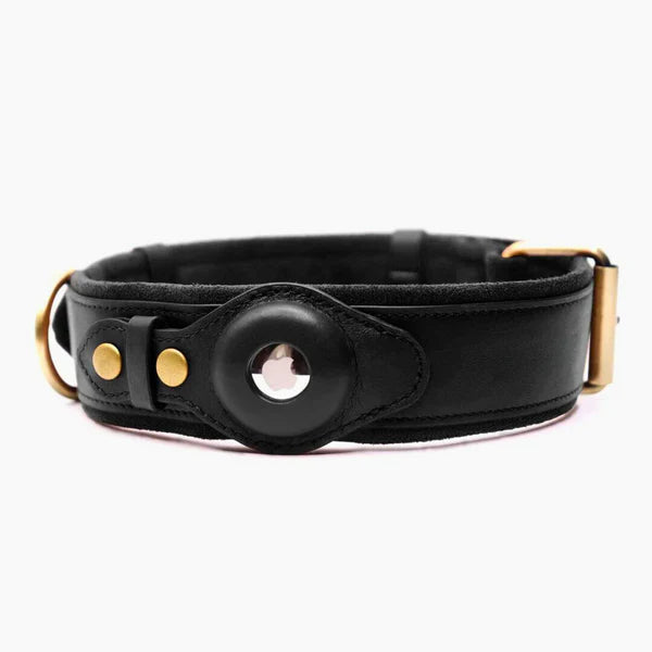 Echtes Lederhalsband mit Airtag-Halter für Hunde Kohlenschwarz