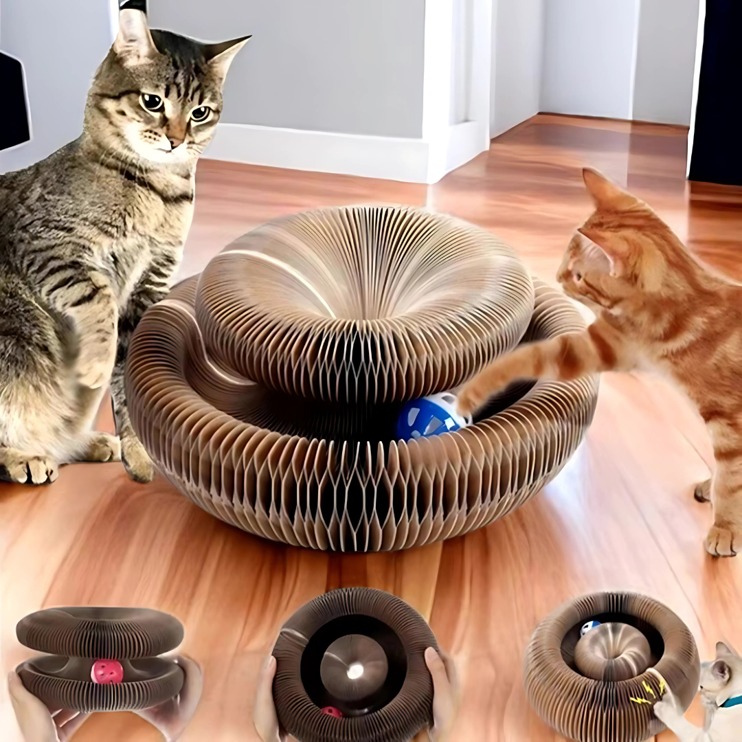 Magisches Katzen-Kratzspielzeug mit Spielball & extra dicker Wellpappe