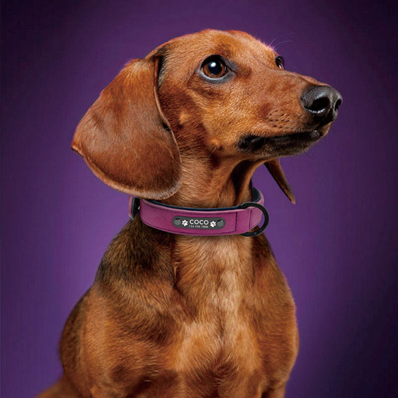 Personalisiertes Hundehalsband aus hochwertigem PU-Leder mit Namensgravur – Stilvoll und sicher! 🐾 - Fluffy Adventures Haustiershop XS: länge-36cm breite-1.5cm / Schwarz 🖤 Mein Shop Haustierhalsband Personalisiert Personalisiertes Hundehalsband aus hochwertigem PU-Leder mit Namensgravur – Stilvoll und sicher! 🐾 Haustierhalsband Personalisiert Mein Shop XS: länge-36cm breite-1.5cm / Schwarz 🖤 Fluffy Adventures Haustiershop