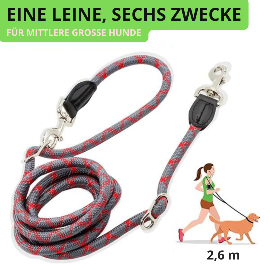 Reflektierende Hundetrainingsleine - Für Sichere Abendspaziergänge - Fluffy Adventures Haustiershop Rot ❤️ / L (12 mm Dicke / bis 80 kg) Mein Shop Hundetrainingsleine Reflektierende Hundetrainingsleine - Für Sichere Abendspaziergänge Hundetrainingsleine Mein Shop Rot ❤️ / L (12 mm Dicke / bis 80 kg) Fluffy Adventures Haustiershop