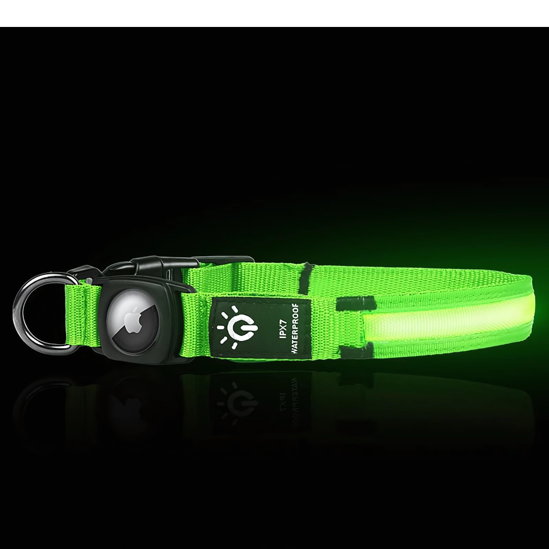 Wasserdichtes LED AirTag Hundehalsband mit USB-C Grün