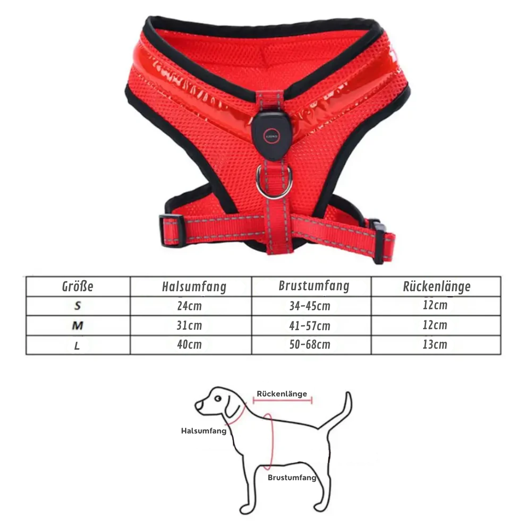 Leuchtendes LED Hundegeschirr – USB aufladbar & verstellbar