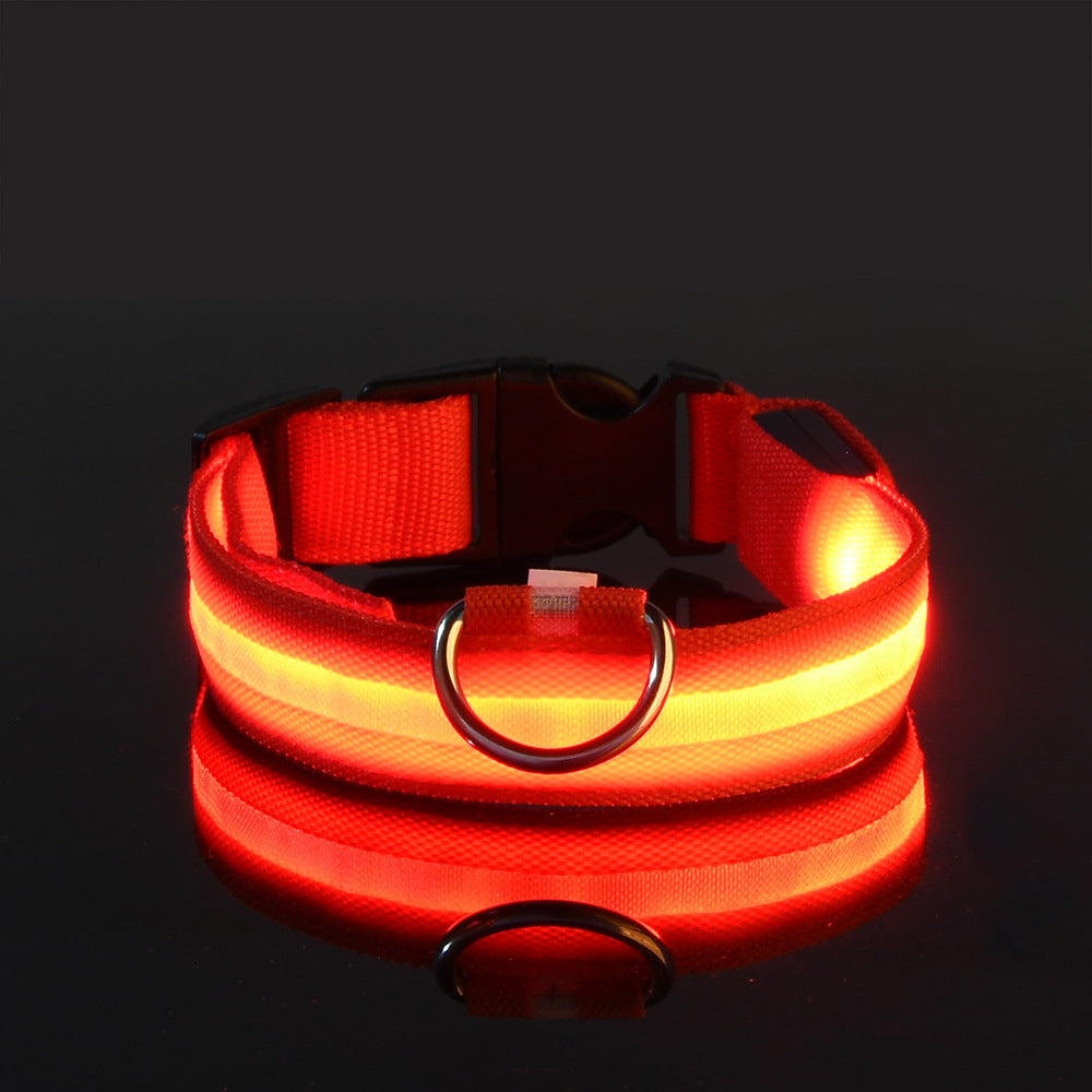 USB-C LED Hundehalsband – 7 Farben, 3 Modi & doppelte D-Ringe Rot