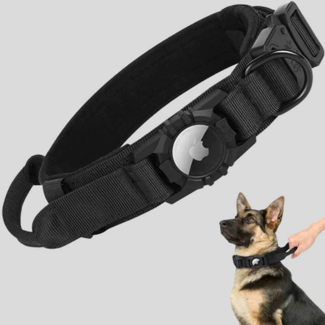 AirTag Hundehalsband – Für Abenteuer gemacht!