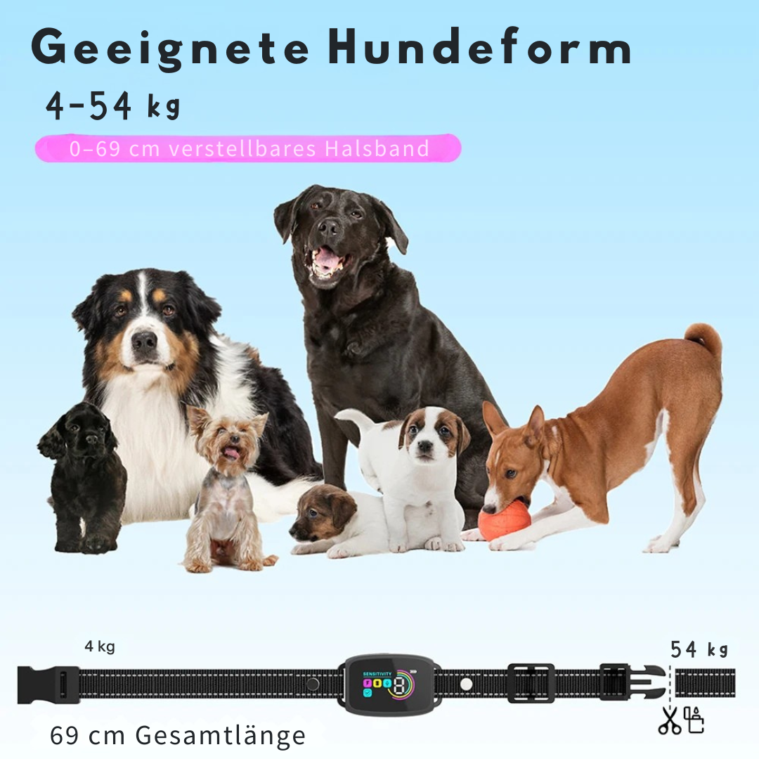 Anti-Bell Hundehalsband mit Display & 3 Modi – Für ruhige Nächte