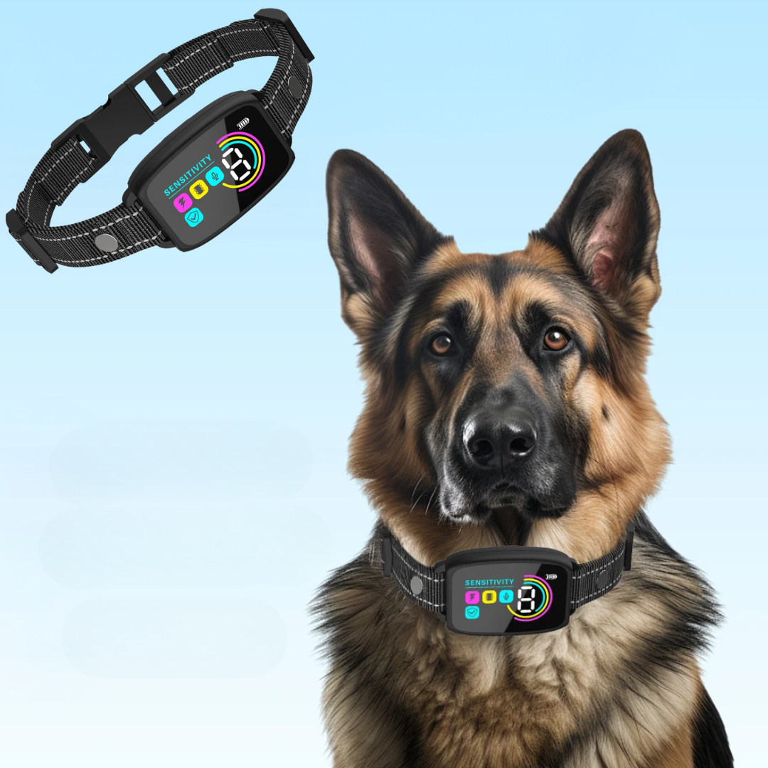 Anti-Bell Hundehalsband mit Display & 3 Modi – Für ruhige Nächte