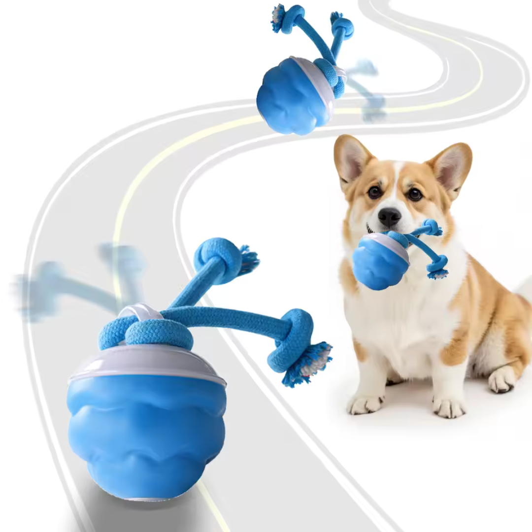 Auto-Knot – Intelligentes Hundespielzeug für endlosen Spaß 🐾🤖