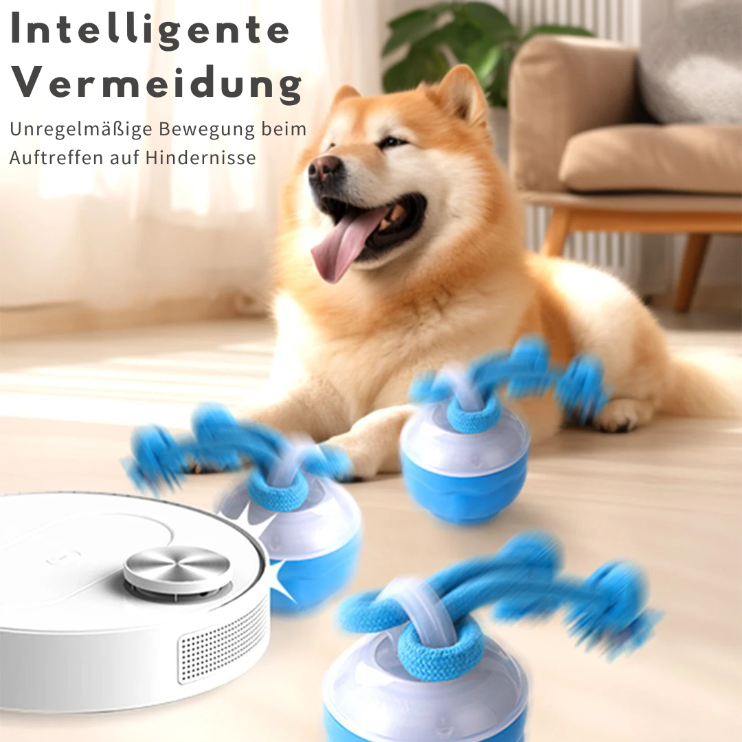 Auto-Knot – Intelligentes Hundespielzeug für endlosen Spaß 🐾🤖