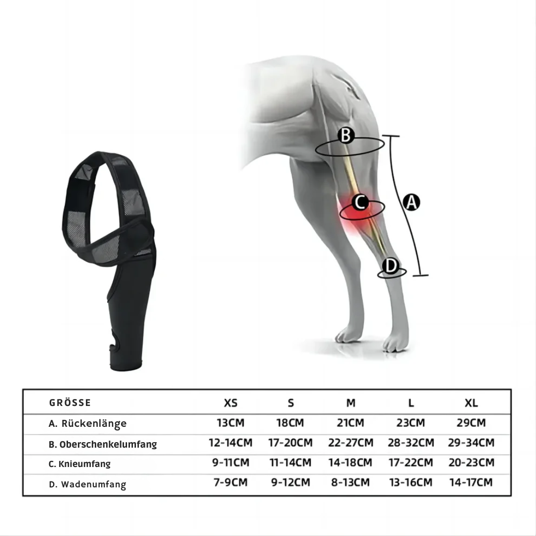 Bein-Stützband für Hunde – Gelenkschutz & bessere Mobilität