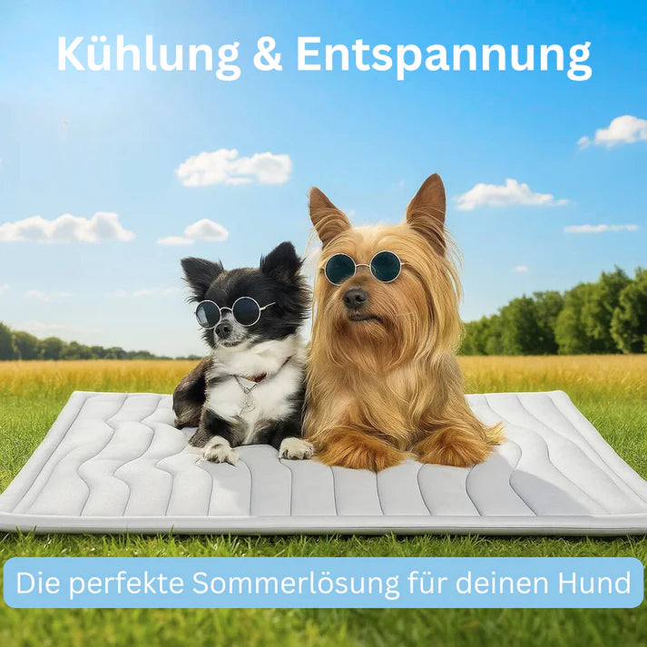 Kühlmatte für Haustiere mit Doppelfunktion – Frische Entspannung zu jeder Jahreszeit
