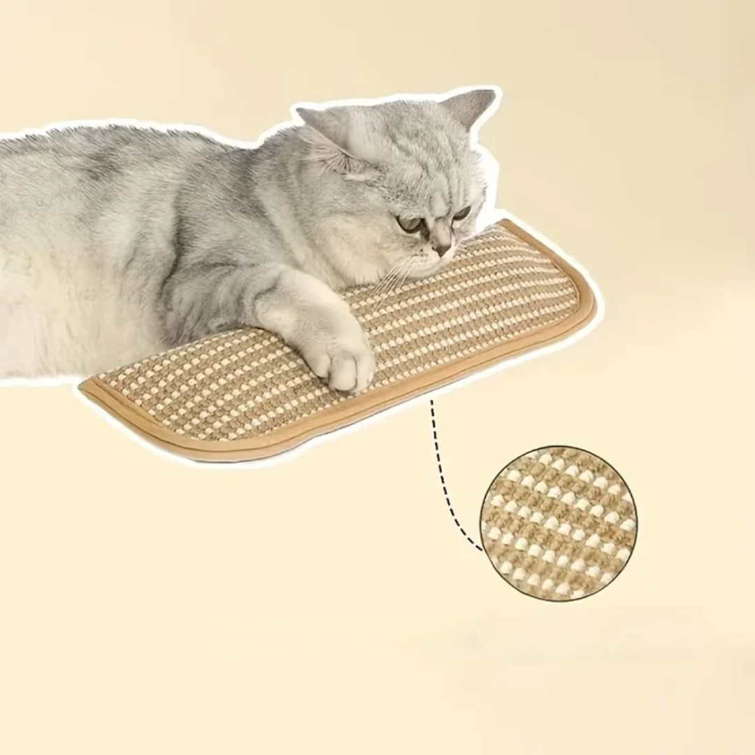 Kratzkissen für Katzen mit Catnip langlebig und robust