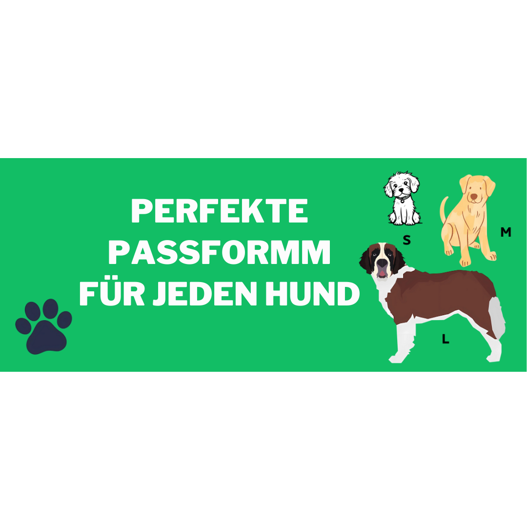 LED AirTag Nachtwanderung Halsband - Fluffy Adventures Haustiershop Rot ❤️ / S: 30-38cm | Aufladbar Mein Shop LED AirTag Halsband LED AirTag Nachtwanderung Halsband LED AirTag Halsband Mein Shop Rot ❤️ / S: 30-38cm | Aufladbar Fluffy Adventures Haustiershop