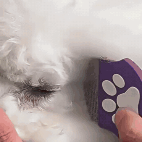 Flohkamm für Hunde & Katzen mit gebogenen Zinken