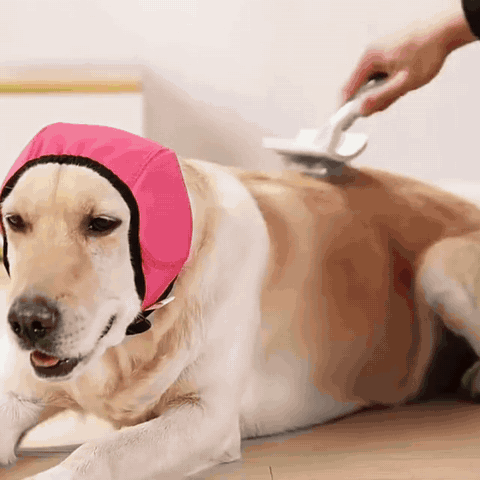 Hunde-Ohrenschutz mit Geräuschdämpfung