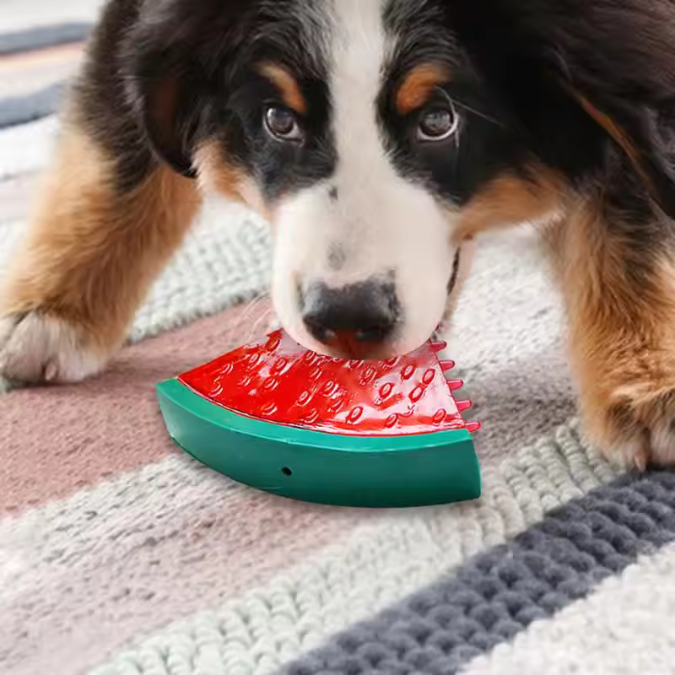 Kühlendes Hundespielzeug mit Früchten für den Sommer – Kaubar & Gefrierbar