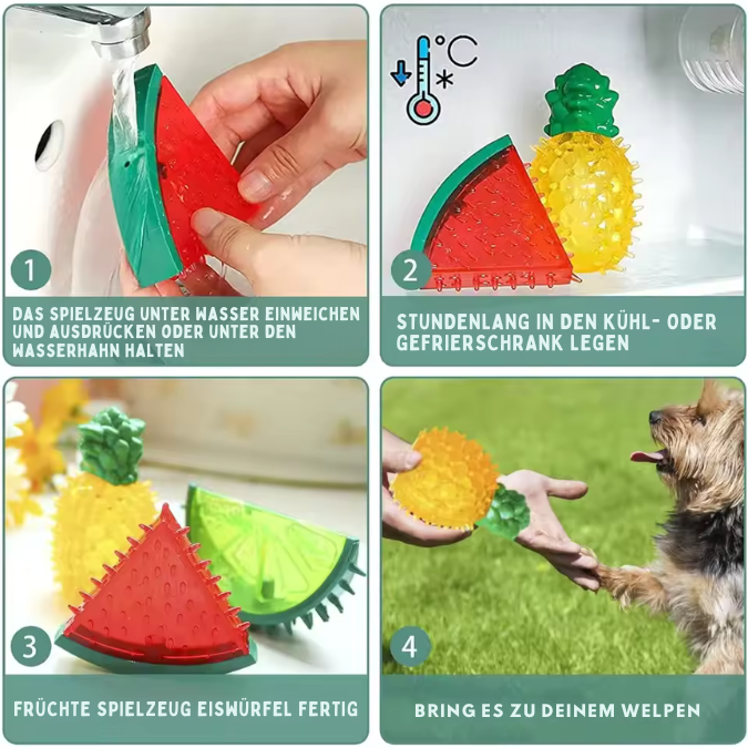 Kühlendes Hundespielzeug mit Früchten für den Sommer – Kaubar & Gefrierbar