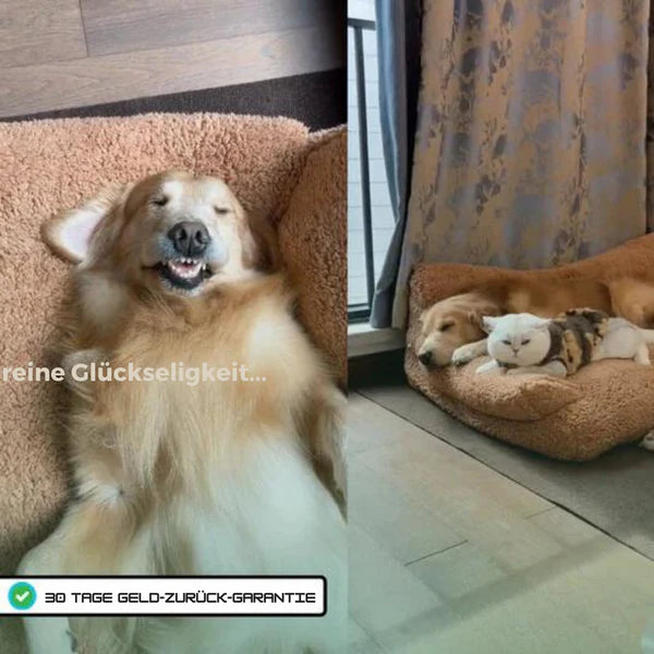Kuscheliges Haustiersofa – Luxus-Schlafplatz für Hunde & Katzen 🐾