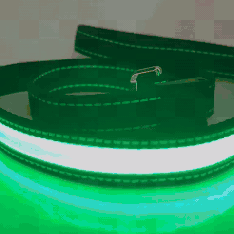 LED Hundeleine für Nacht & Spaziergänge