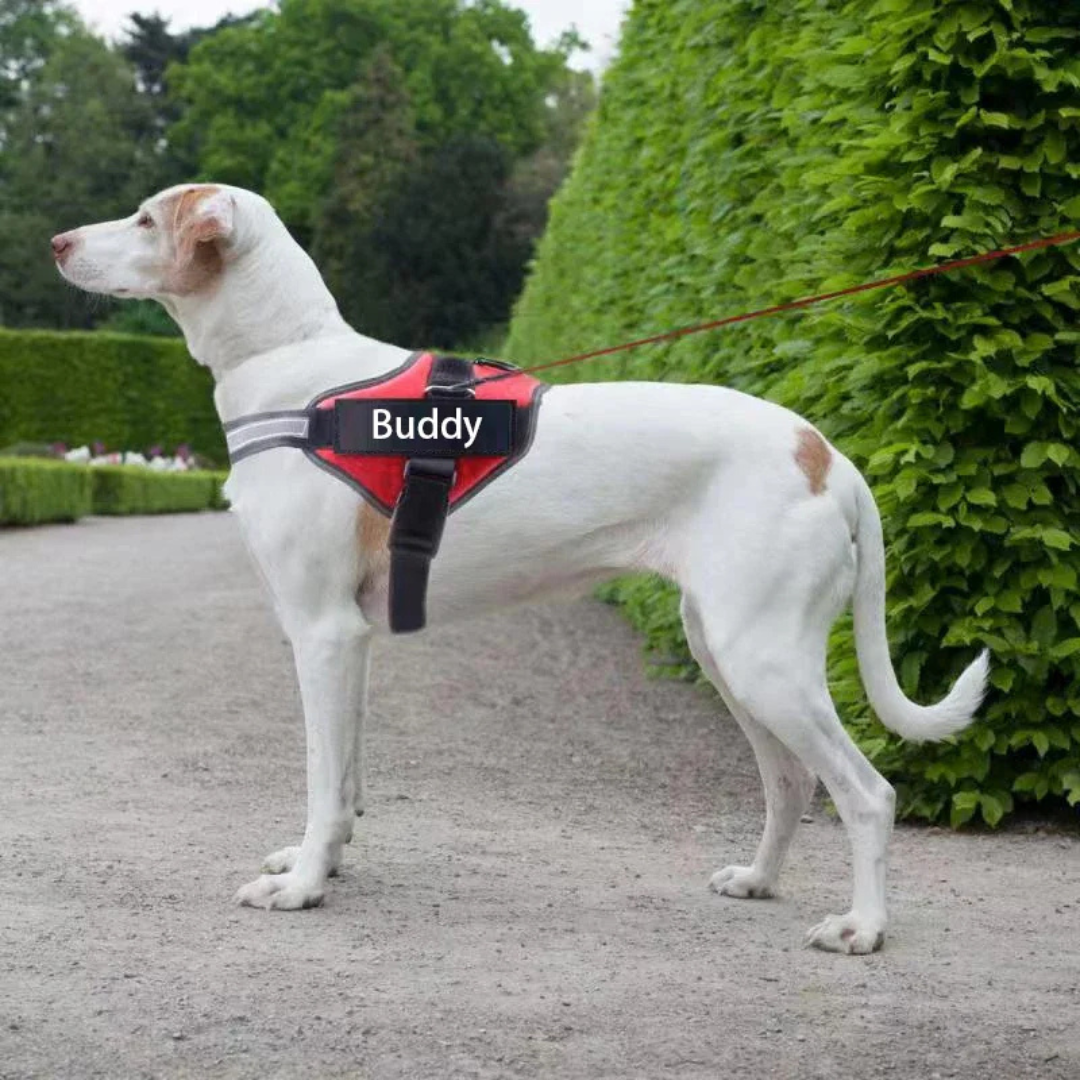 Personalisierbares Hundegeschirr mit Griff & Reflexstreifen
