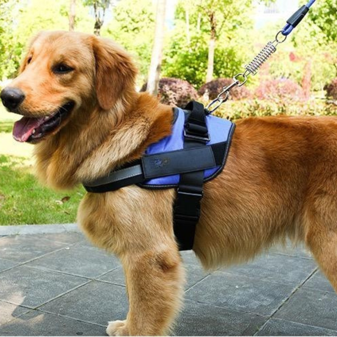 Personalisierbares Hundegeschirr mit Griff & Reflexstreifen