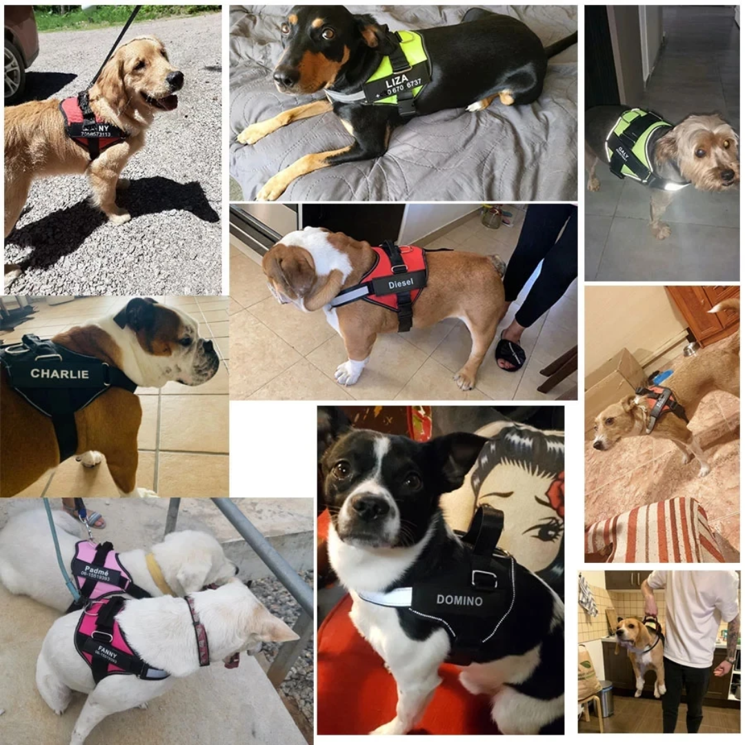 Personalisierbares Hundegeschirr mit Griff & Reflexstreifen
