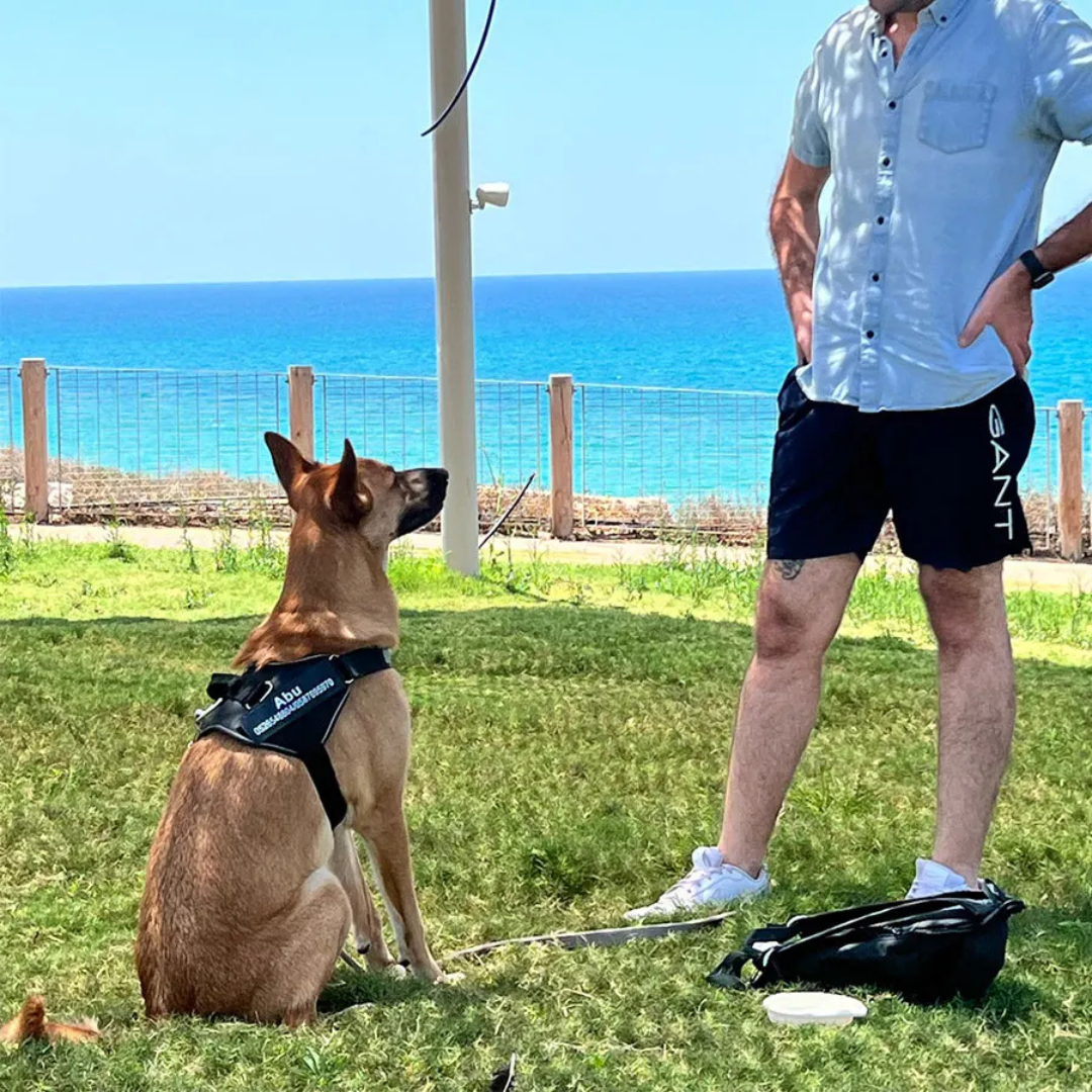 Personalisierbares Hundegeschirr mit Griff & Reflexstreifen