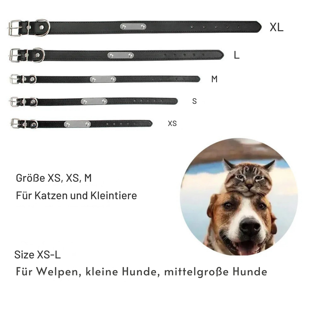Personalisiertes Hundehalsband aus hochwertigem Leder mit Namensgravur – stylisch und sicher! 🐾