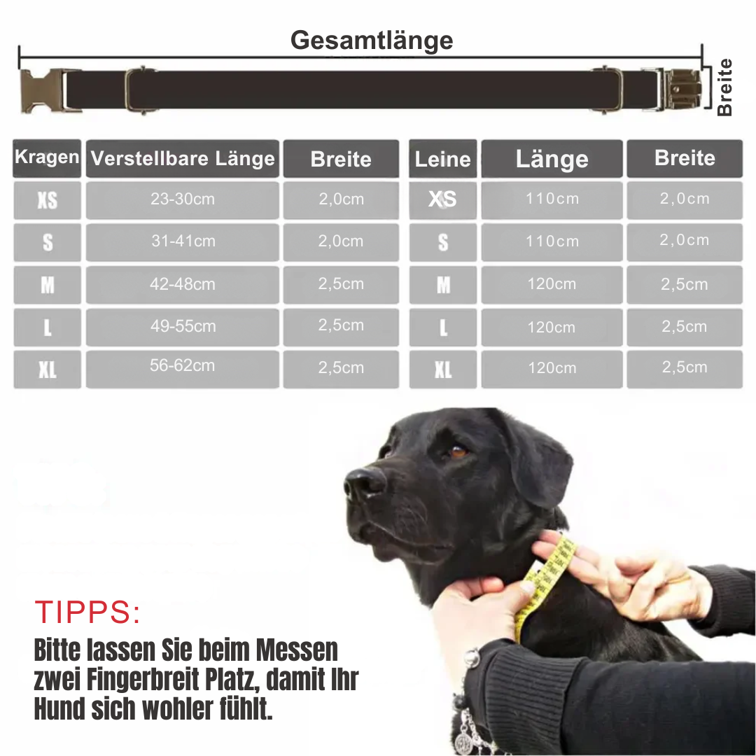 Personalisiertes Hundehalsband mit Gravur – aus Fiberglas und Edelstahl