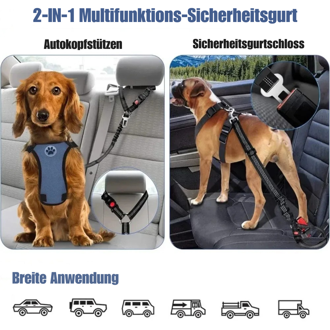 Reflektierendes 2-in-1-Hundegeschirr für Auto und Spaziergang