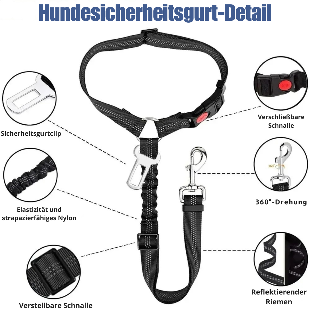 Reflektierendes 2-in-1-Hundegeschirr für Auto und Spaziergang