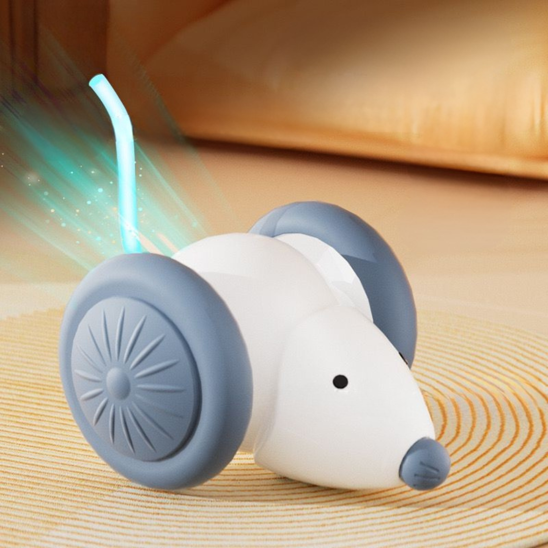 Revolutionäres Katzenspielzeug: Automatische KI-Maus🐭🤖
