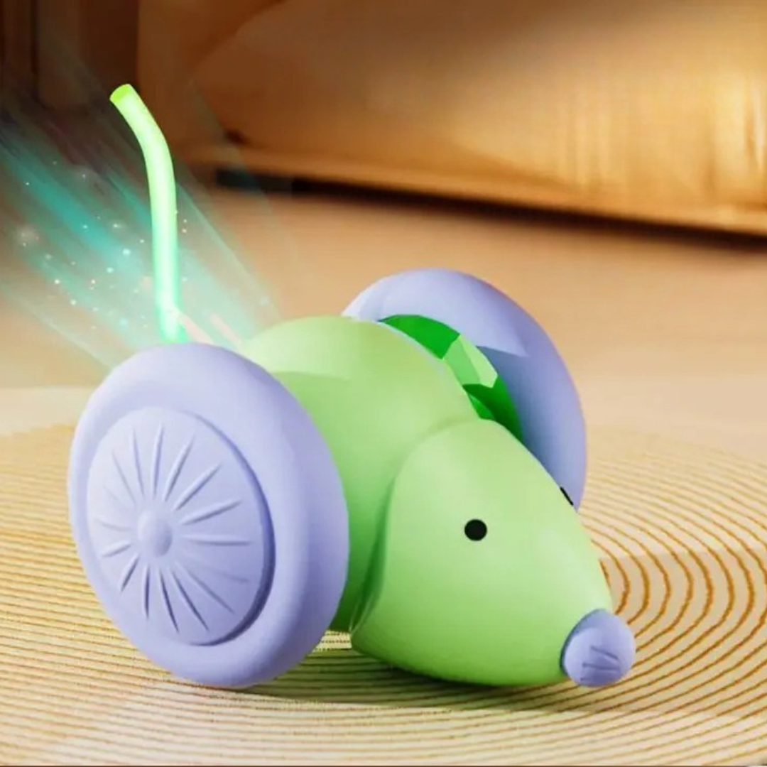 Revolutionäres Katzenspielzeug: Automatische KI-Maus🐭🤖