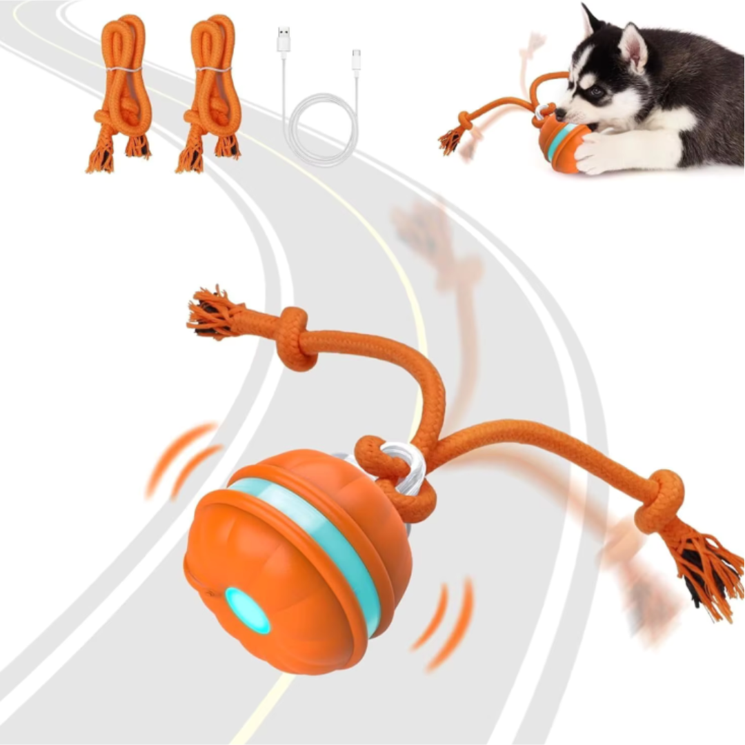 Rollvergnügen Ball – Interaktiver Spielspaß für Ihr Haustier!