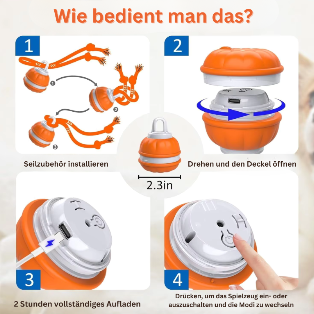 Rollvergnügen Ball – Interaktiver Spielspaß für Ihr Haustier!