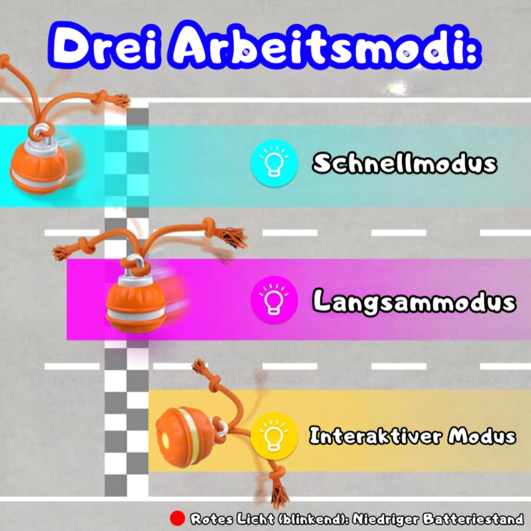Rollvergnügen Ball – Interaktiver Spielspaß für Ihr Haustier!