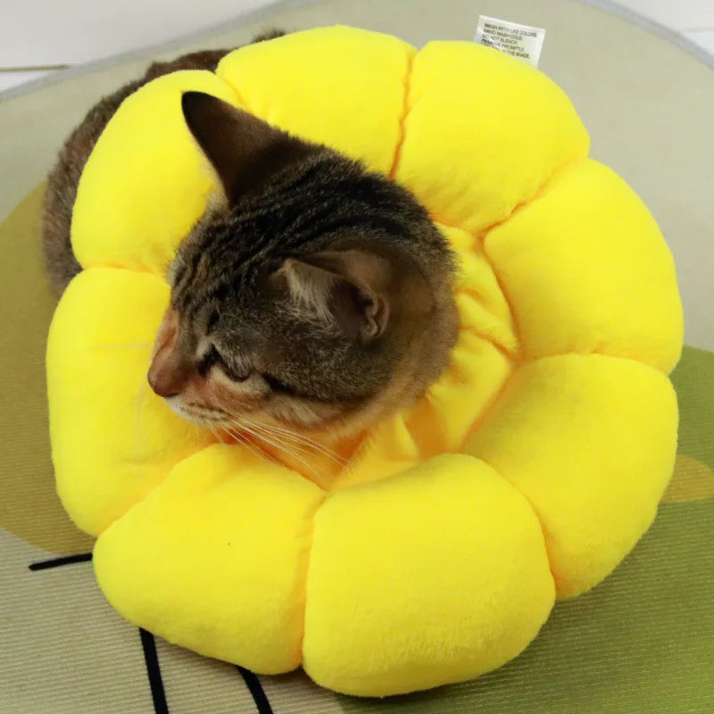 Sonnenblume Katzenhalsband nach Operationen – leckfrei, super bequem und stylisch