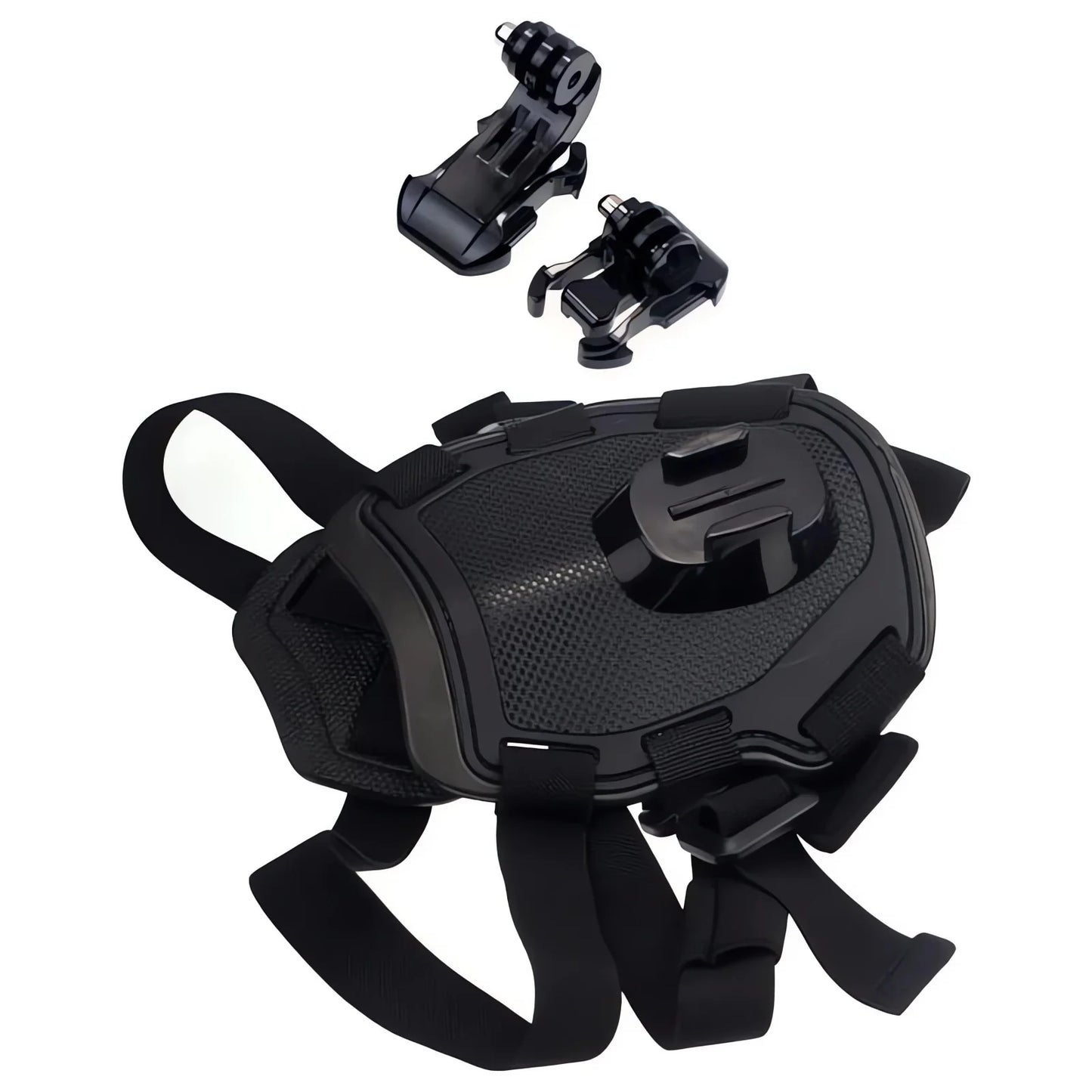 Action-Cam-Hundegeschirr – 360°-Ansicht aus der Hundeperspektive