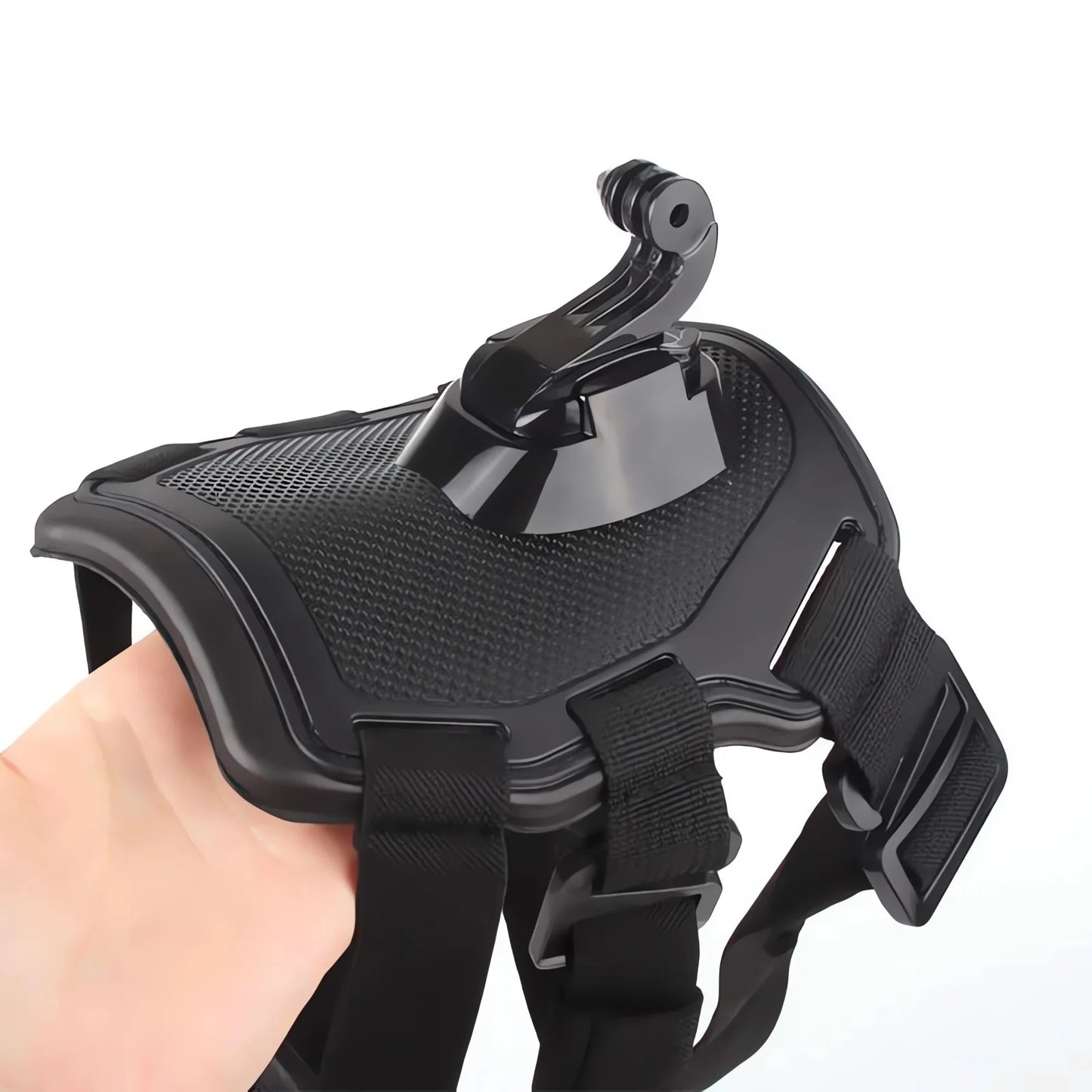 Action-Cam-Hundegeschirr – 360°-Ansicht aus der Hundeperspektive
