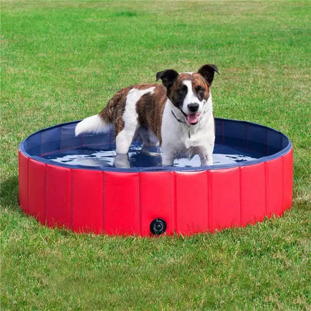 Faltbarer PVC Hundepool mit Abflussventil – Ideal für Sommer & Garten