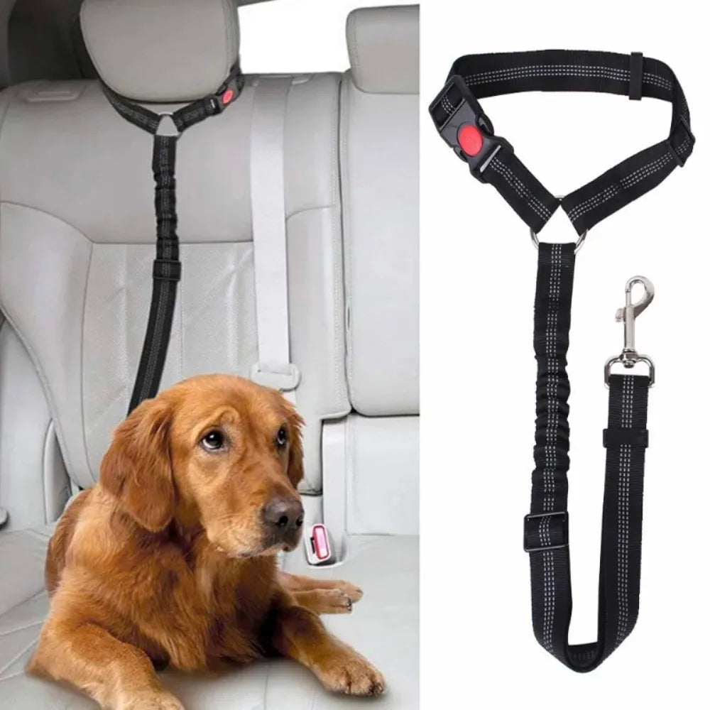 Reflektierendes 2-in-1-Hundegeschirr für Auto und Spaziergang