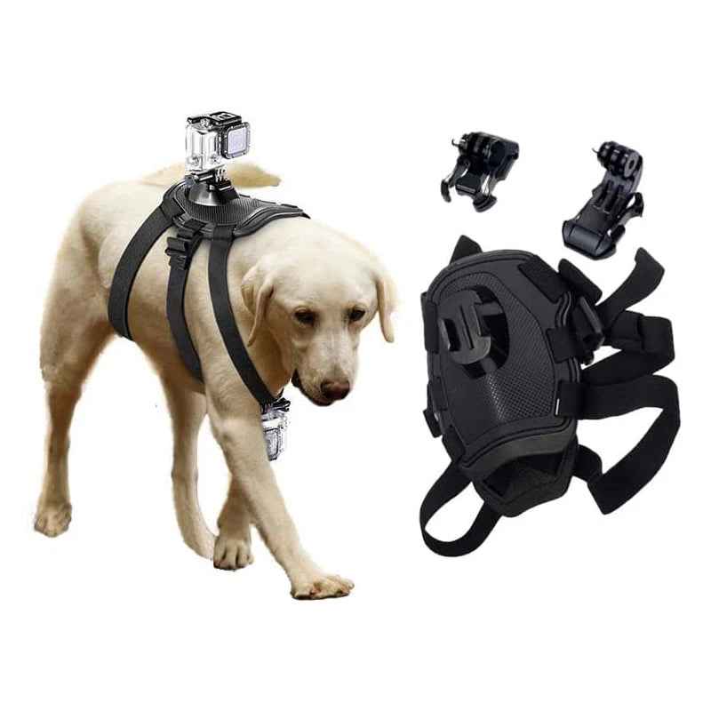 Action-Cam-Hundegeschirr – 360°-Ansicht aus der Hundeperspektive