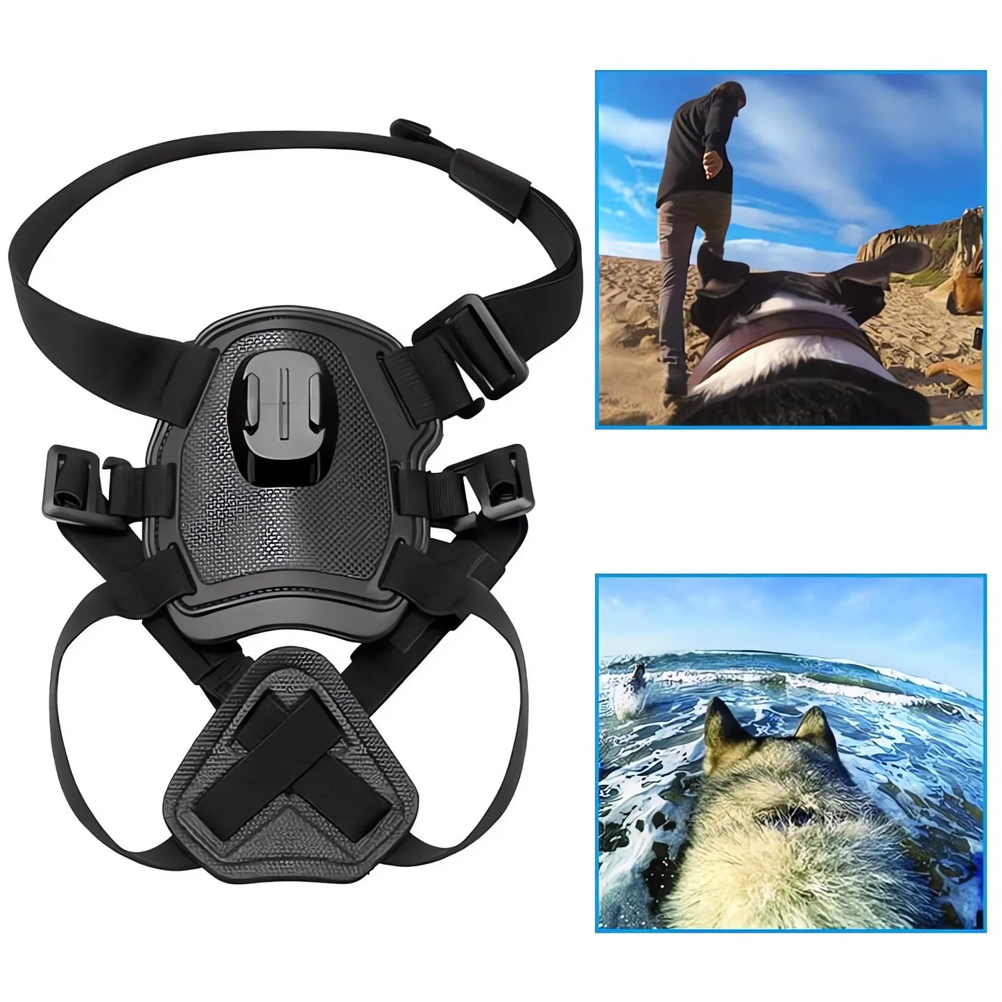 Action-Cam-Hundegeschirr – 360°-Ansicht aus der Hundeperspektive