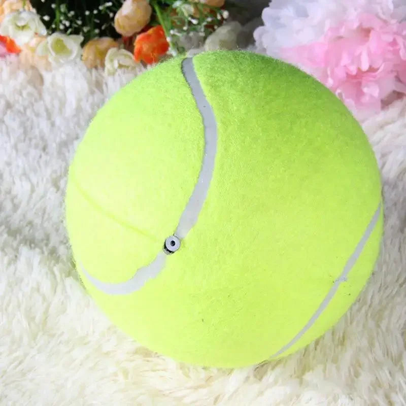 Extra großer Tennisball für Hunde