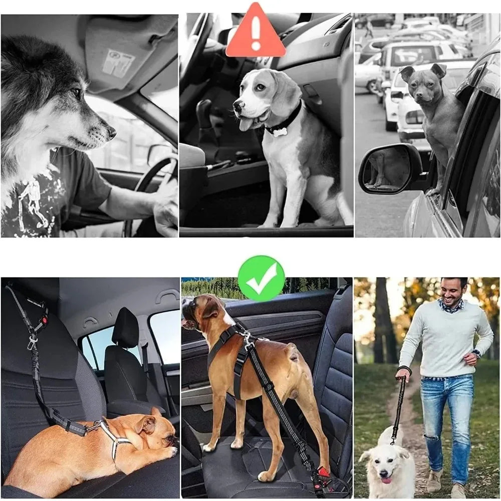 Reflektierendes 2-in-1-Hundegeschirr für Auto und Spaziergang