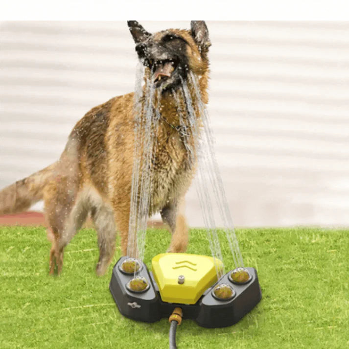 Multifunktionaler Hunde-Trinkbrunnen & Sprinkler – Spiel, Ausbildung & Erfrischung in einem!