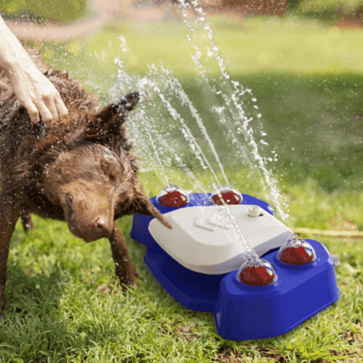 Multifunktionaler Hunde-Trinkbrunnen & Sprinkler – Spiel, Ausbildung & Erfrischung in einem!