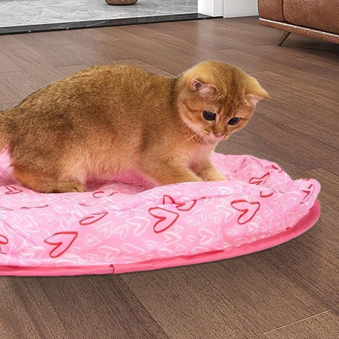 Versteckspiel – Jagdschutz für neugierige Katzen!
