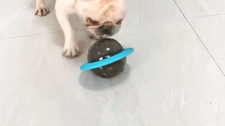 Interaktiver IQ-Leckerli-Ball für Hunde 🐶🎾 - Fluffy Adventures Haustiershop Seeblaue fliegende Untertasse 🩵 Mein Shop Interaktiver Leckerli-Ball für Hunde Interaktiver IQ-Leckerli-Ball für Hunde 🐶🎾 Interaktiver Leckerli-Ball für Hunde Mein Shop Seeblaue fliegende Untertasse 🩵 Fluffy Adventures Haustiershop