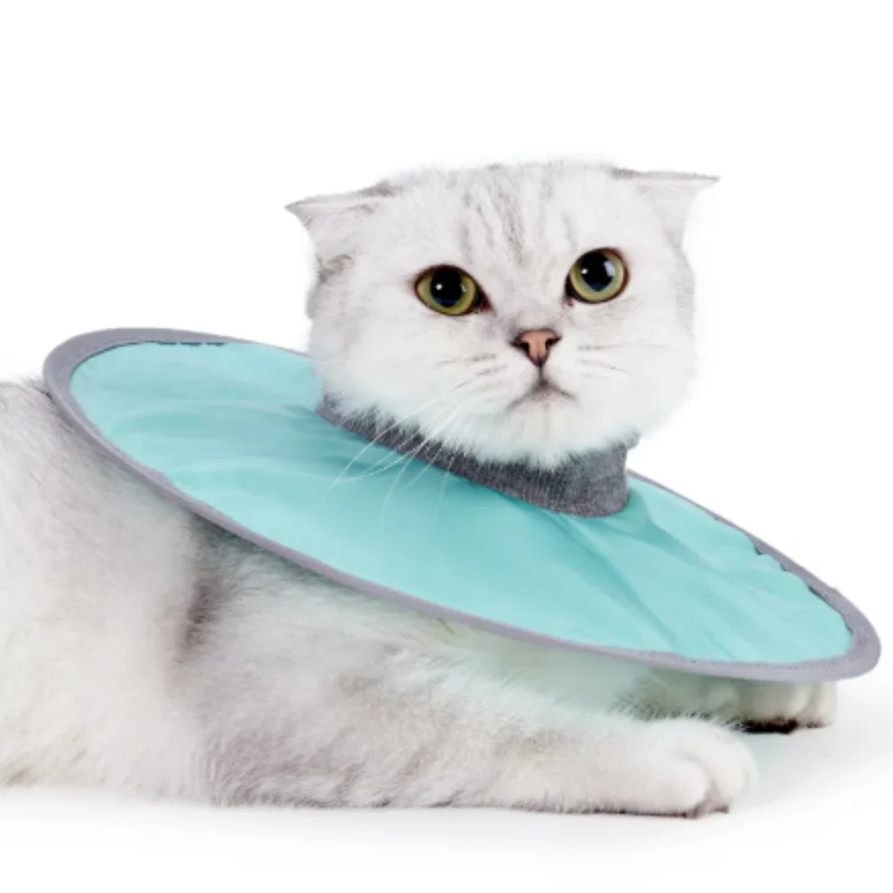 Katzen-Schutzkragen weich & komfortabel Mintgrün